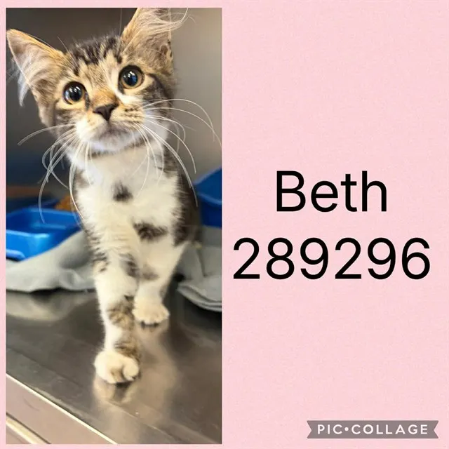 Beth