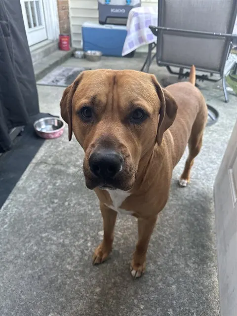 Lucy