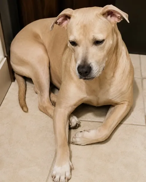 Molly