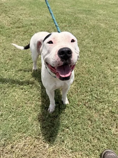 Coco