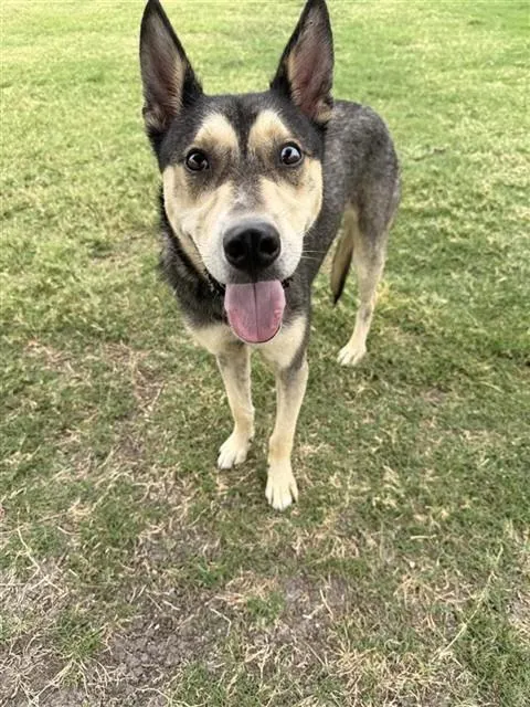 Max