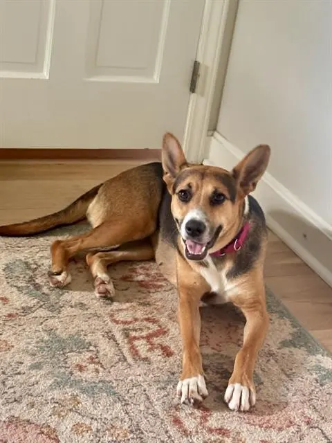 Kenzi