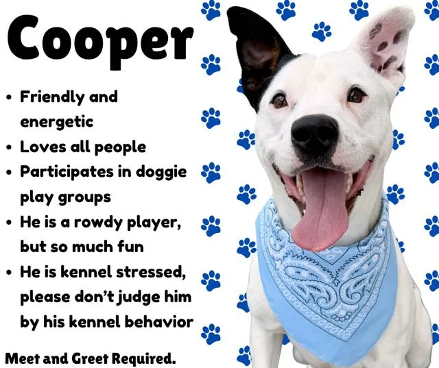 Cooper