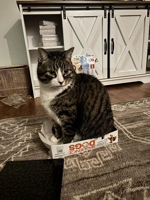 Sox