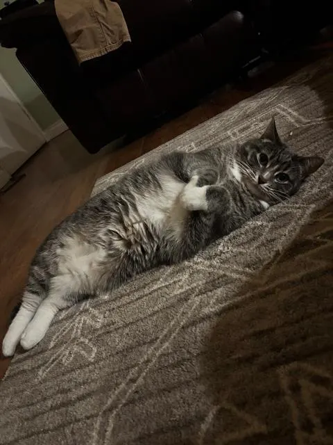 Mittens