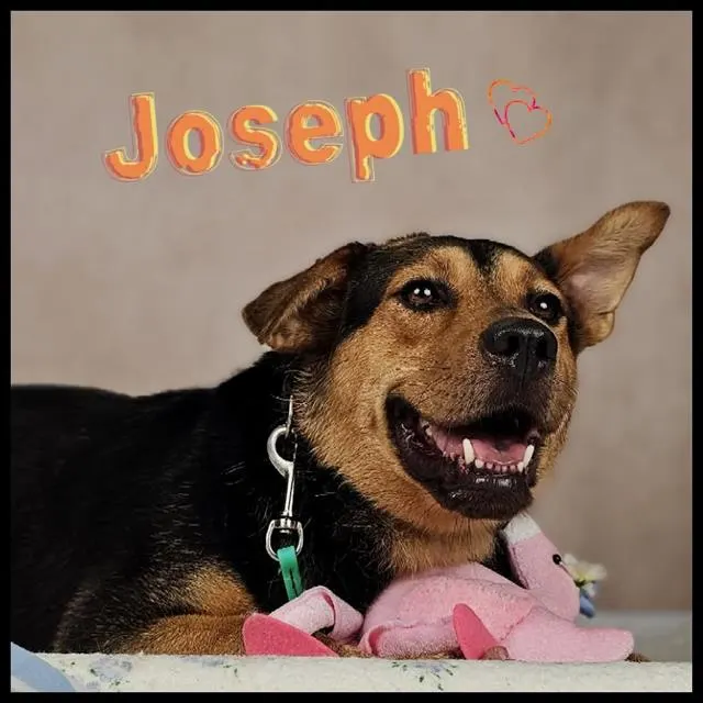 Joseph