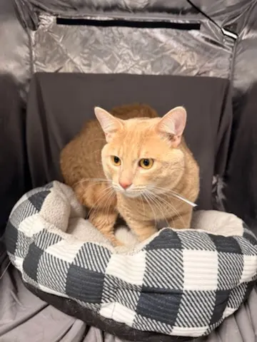 Sam