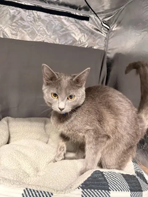 Gary