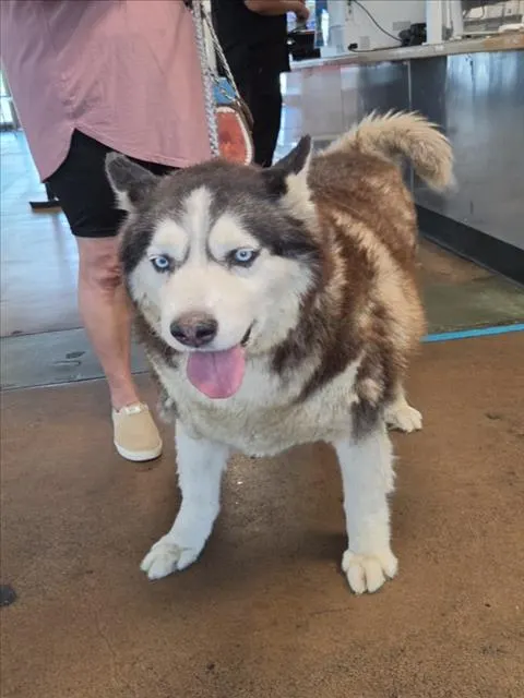 Max
