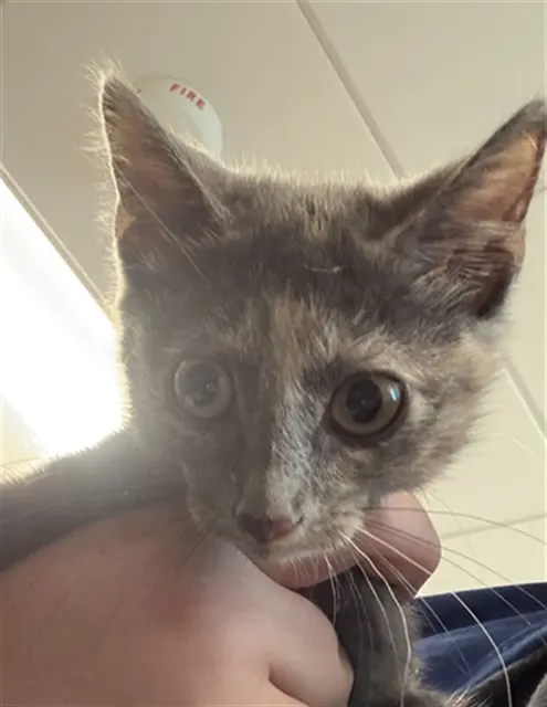 Minnie