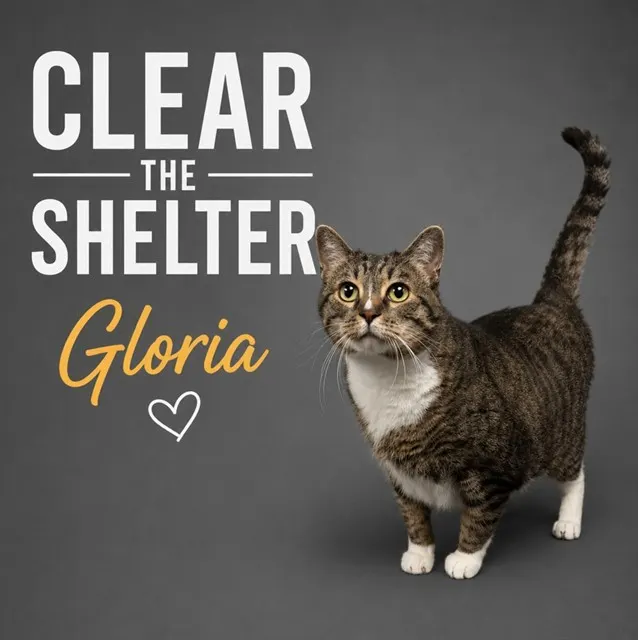 Gloria