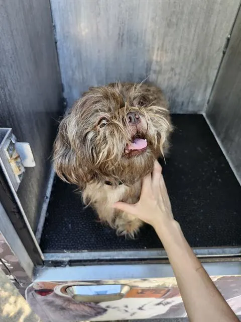 Wiggle