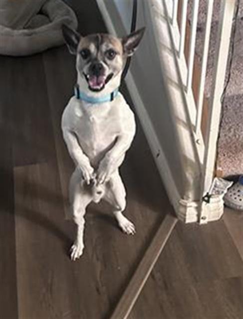 Max