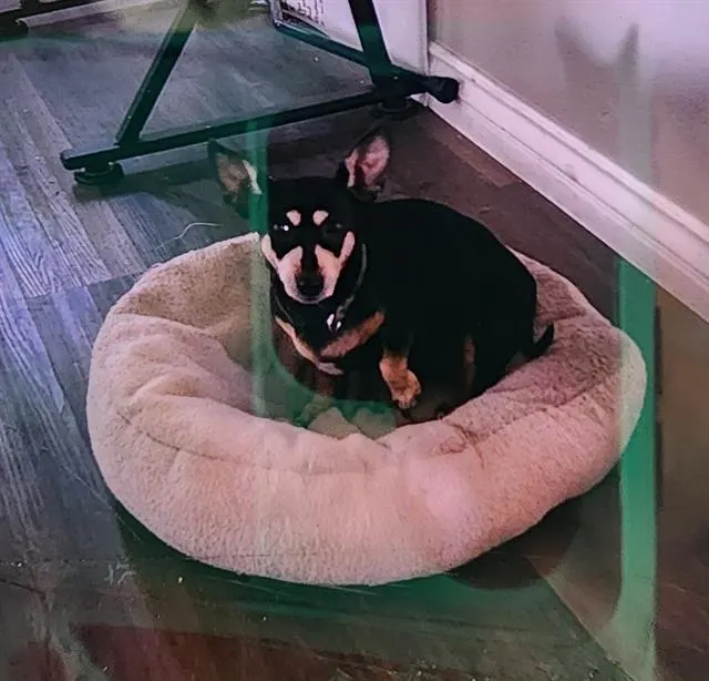 Roxy
