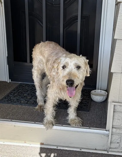 Walter