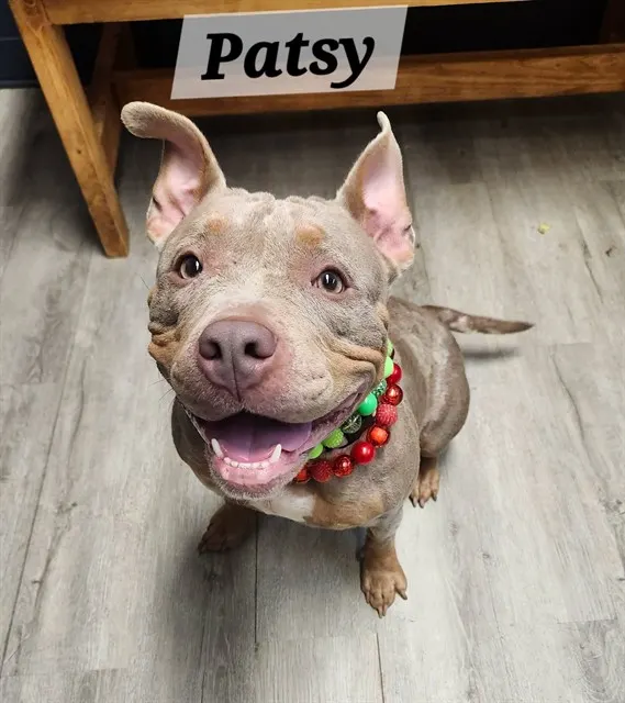 Patsy