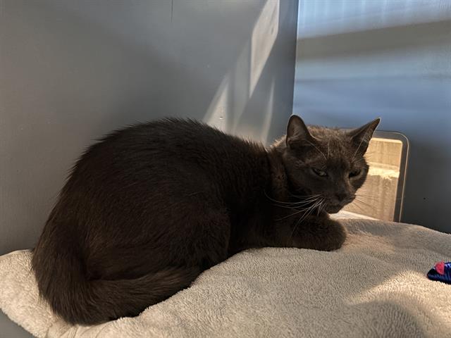 Emma