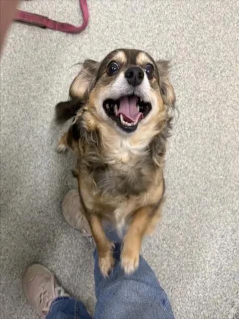 Chloe