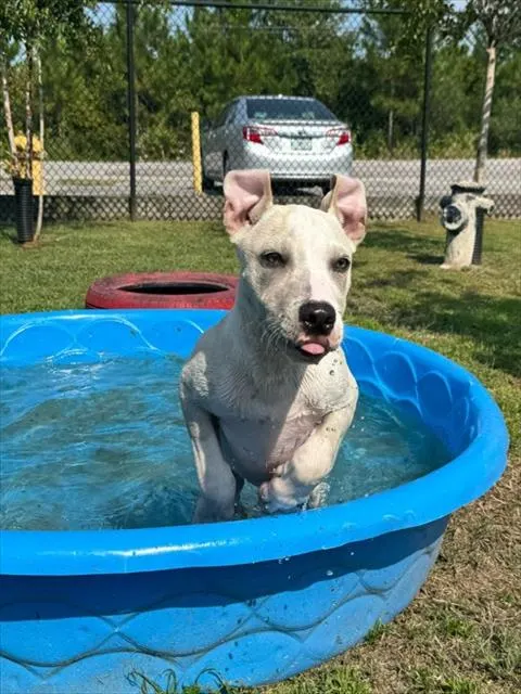 Benny