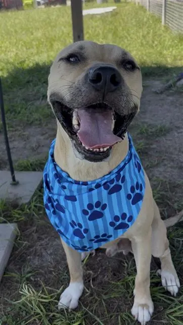 Zeus
