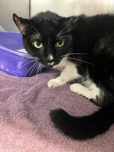 Matilda