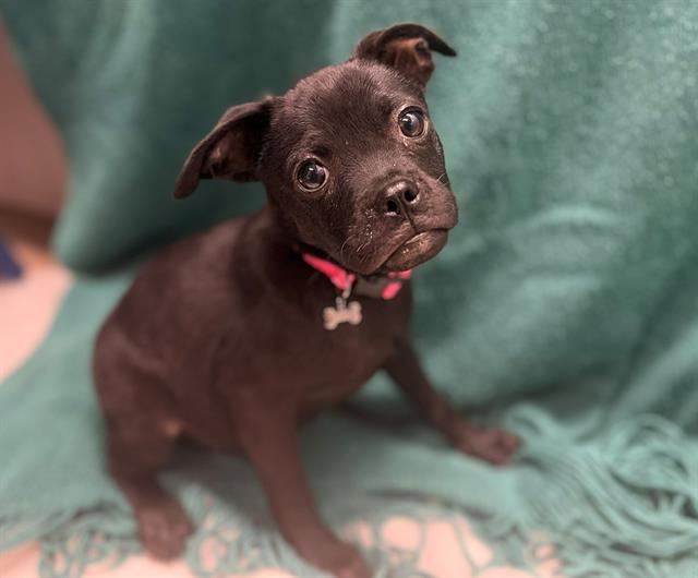 Coco
