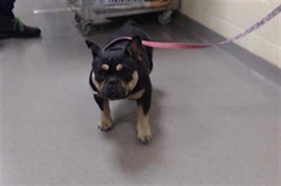 Chloe