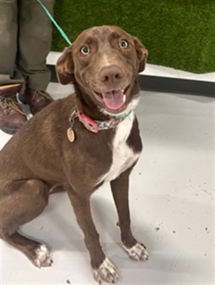 Coco