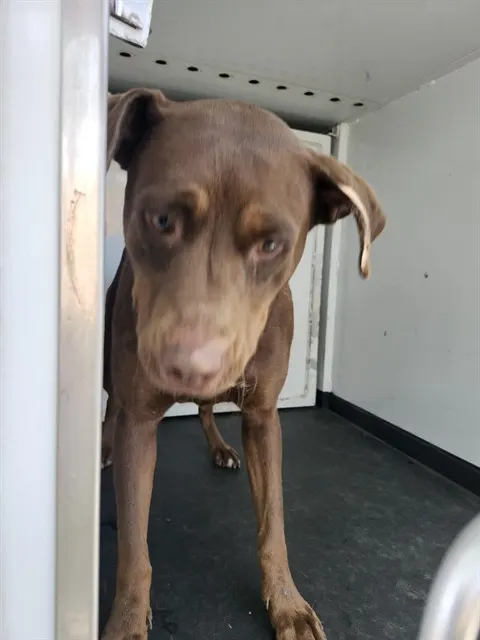 Charlie