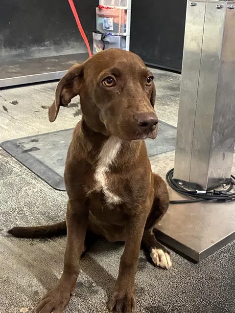 Matilda