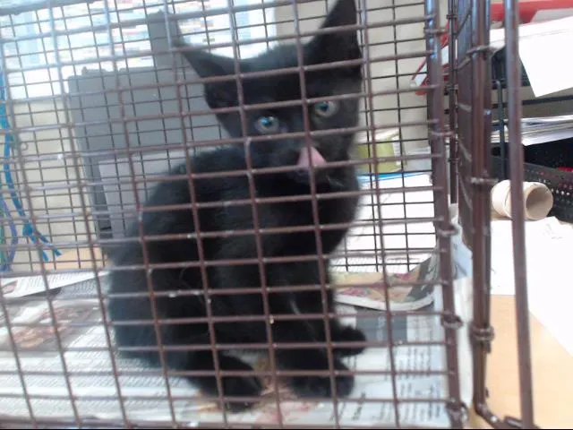 Blacky
