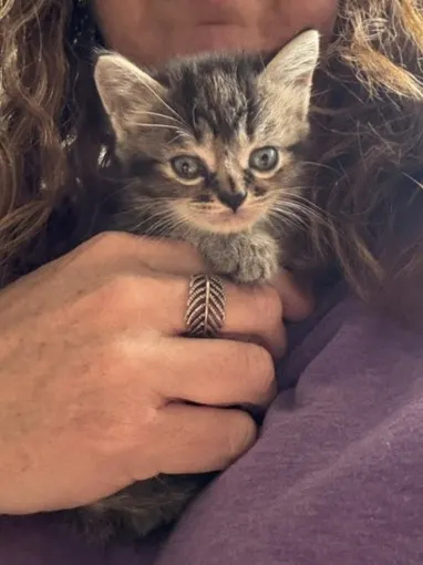 Bella