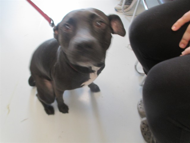 Cooper