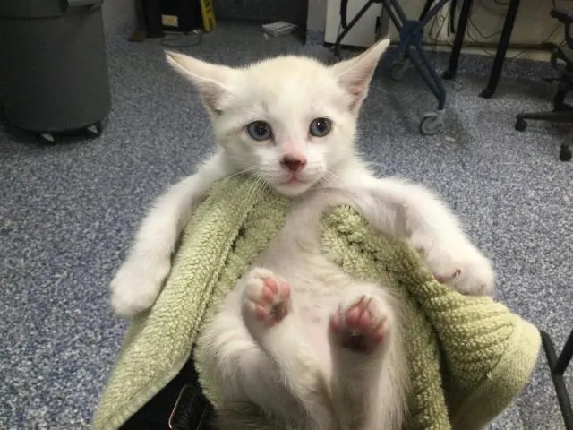 Jimmy