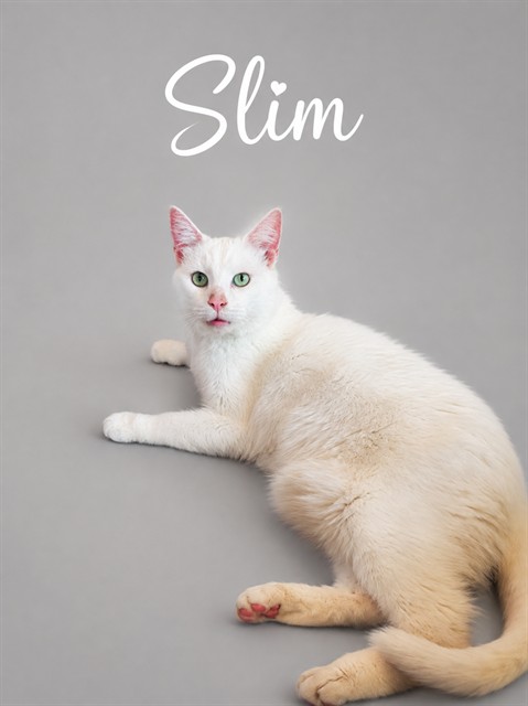 Slim