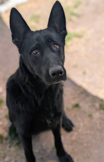 Twyla