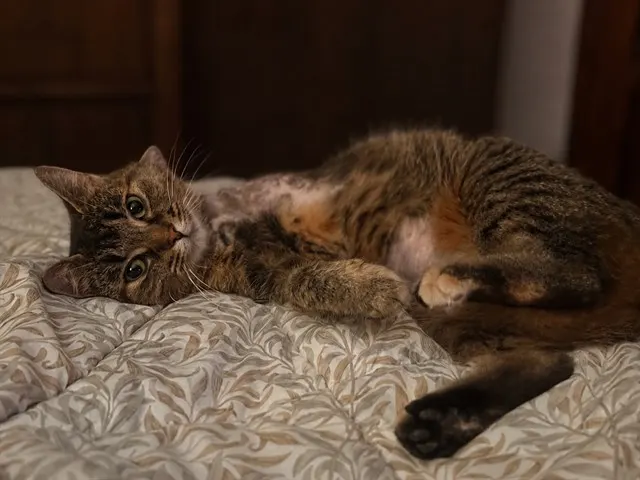 Molly