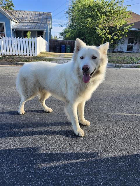 Coco