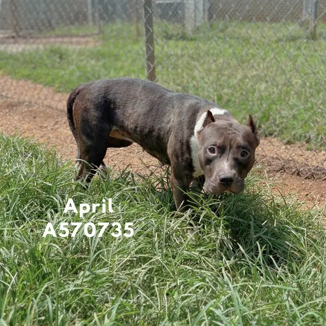 April
