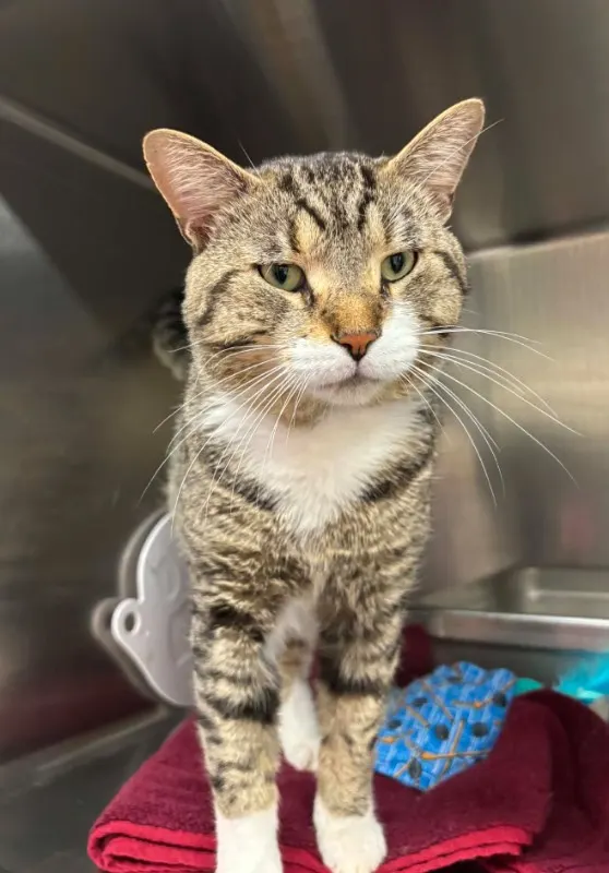 Tom