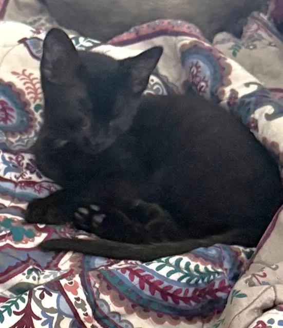 Theodore