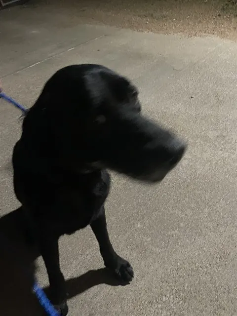 Marco