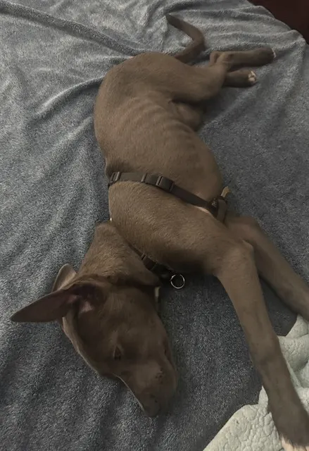 Fiona