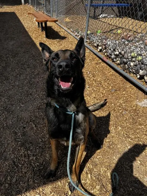 Zues