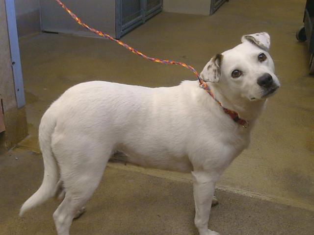 Nellie