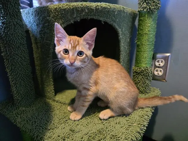 Matilda