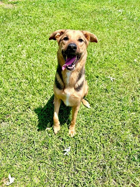 Lucy