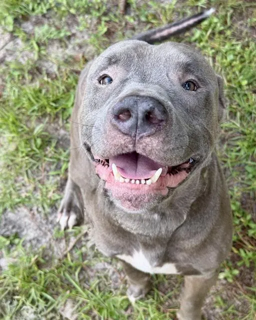Capone
