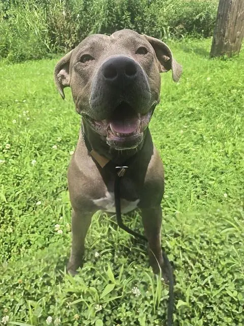 Archer