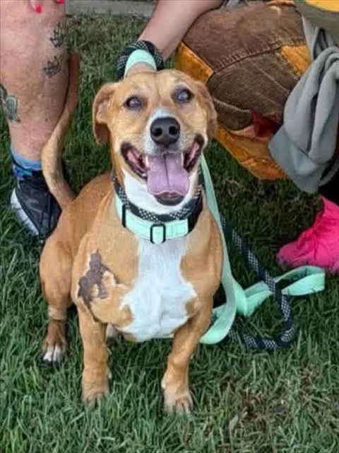 Oscar Meyer